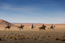 Namibia-Namibia-Wild Horses Safari